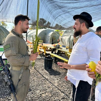 WhatsApp Image 2026-02-10 at 4.23.44 AM (2)_resultado